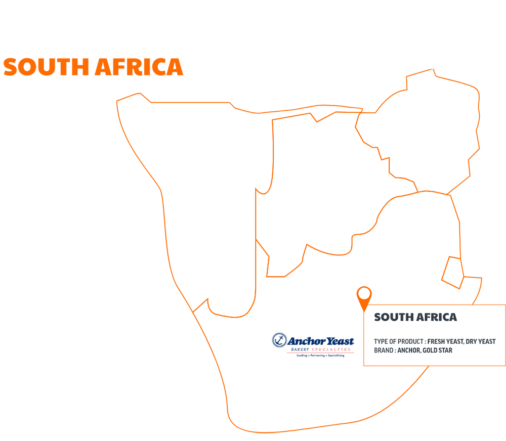 Map south africa
